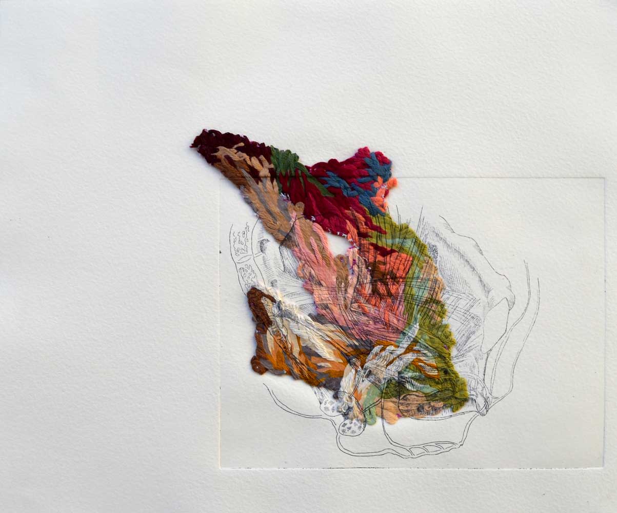 <em>Greffons</em>, 2013  <br>42 X 33 cm  <br>gravure en eau forte, broderie, papier Velin d’Arches.